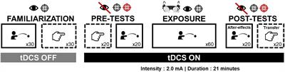 Does anodal cerebellar tDCS boost transfer of after-effects from throwing to pointing during prism adaptation?